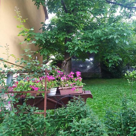 Apartament W Domu Na Wsi Томашув-Лубелскі Екстер'єр фото