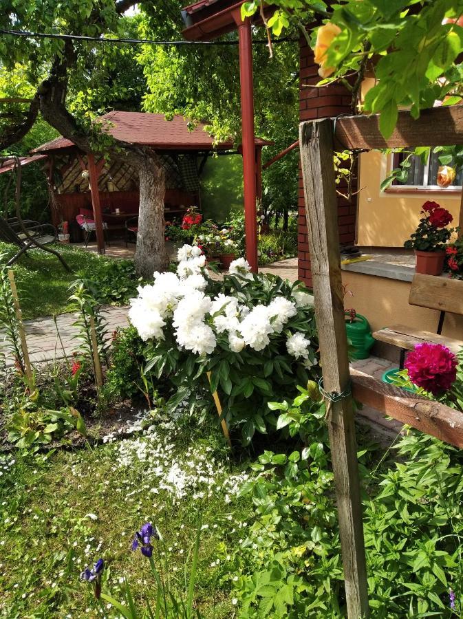 Apartament W Domu Na Wsi Томашув-Лубелскі Екстер'єр фото