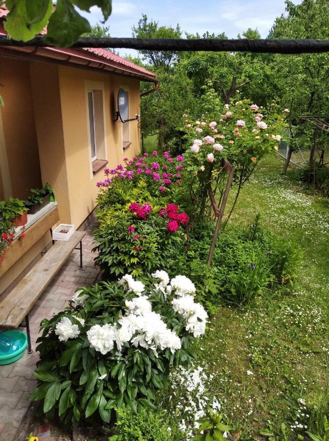 Apartament W Domu Na Wsi Томашув-Лубелскі Екстер'єр фото