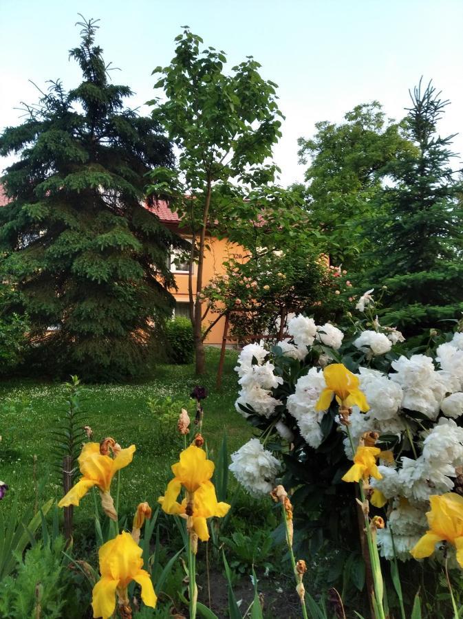 Apartament W Domu Na Wsi Томашув-Лубелскі Екстер'єр фото
