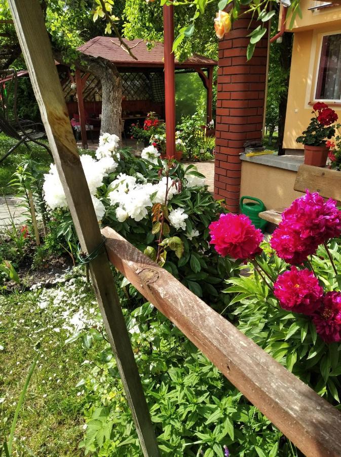 Apartament W Domu Na Wsi Томашув-Лубелскі Екстер'єр фото