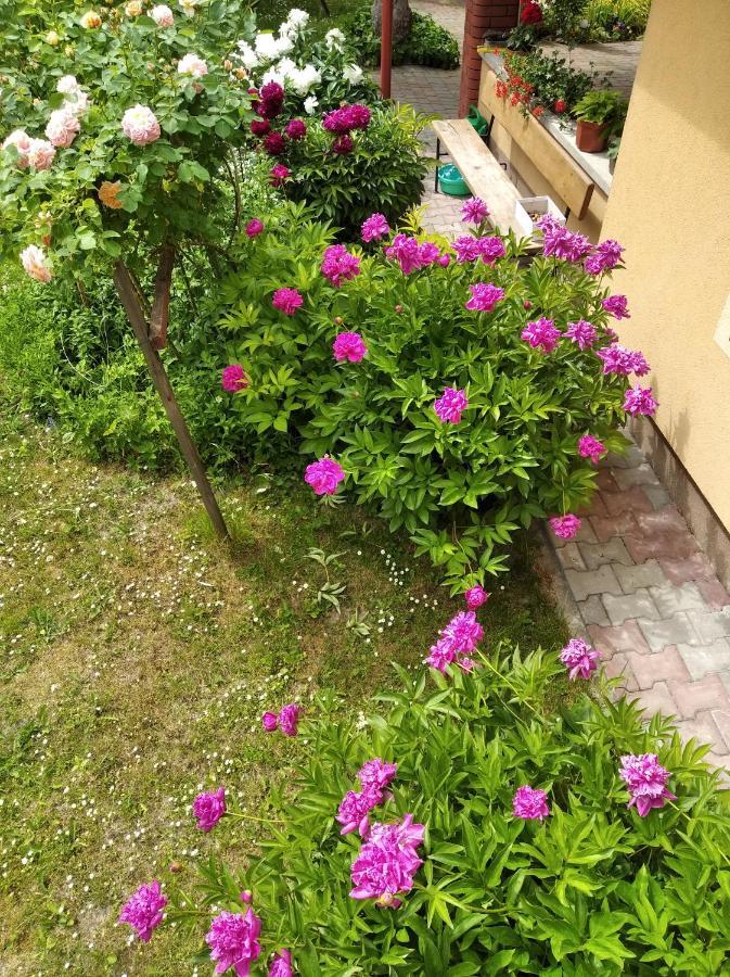 Apartament W Domu Na Wsi Томашув-Лубелскі Екстер'єр фото